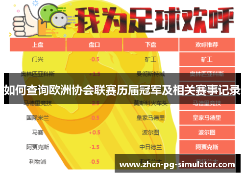 如何查询欧洲协会联赛历届冠军及相关赛事记录