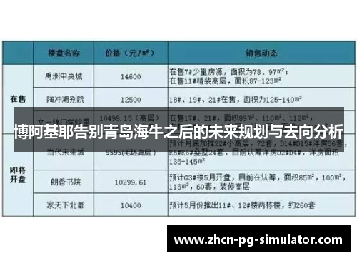 博阿基耶告别青岛海牛之后的未来规划与去向分析