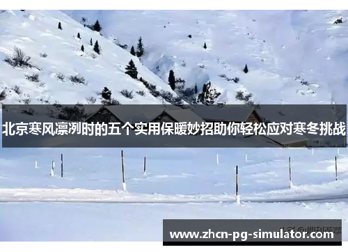 北京寒风凛冽时的五个实用保暖妙招助你轻松应对寒冬挑战