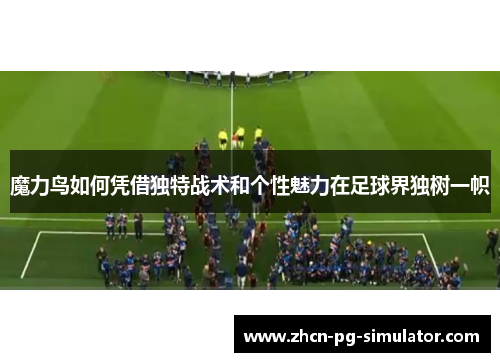 魔力鸟如何凭借独特战术和个性魅力在足球界独树一帜